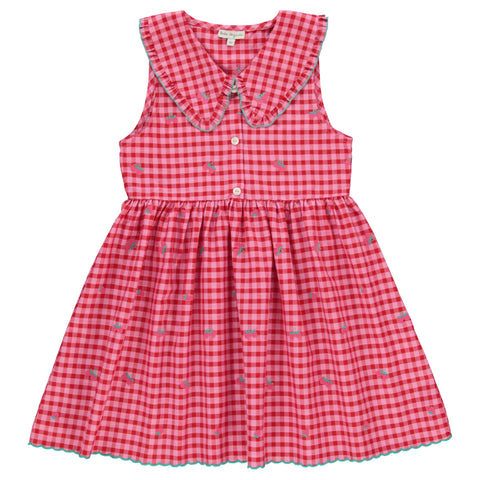 Bebe Organic Alisa Dress Raspberry Check