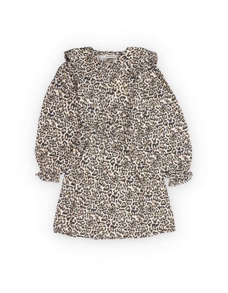 The New Society Nelia Special Dress