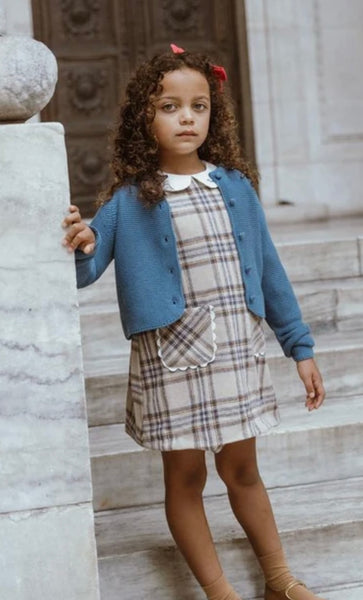 Coco Blanc Plaid A-line Dress Blue